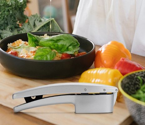 Amostra grátis 2 em 1 Pressão manual de alho Mincer Kitchen Garlic Chopper Slicer Portable Garlic Grinding Crusher Masher Maker Ferramentas de vegetais