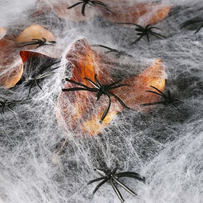 Poliéster Teia de Aranha Fio de Algodão Casa Assombrada Decoração para Halloween Requisitos de Festa