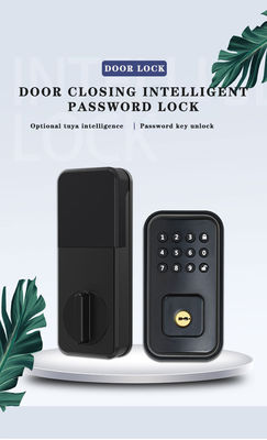 Segure a sua porta com bloqueio digital inteligente alimentado por bateria e TTlock Tuya WiFi App