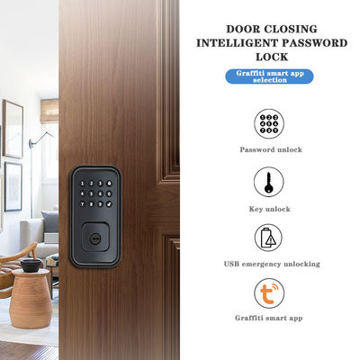 Segure a sua porta com bloqueio digital inteligente alimentado por bateria e TTlock Tuya WiFi App
